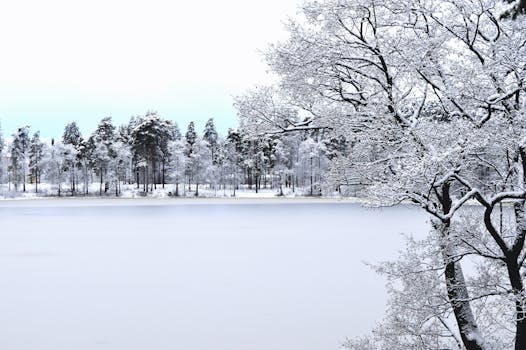 A tranquil winter scene of snow-covered trees by a frozen lake under a bright sky.