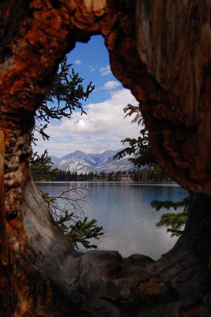 lake, nature, focus, summer, reflection, vision, focus, focus, focus, vision, vision, vision, vision, vision