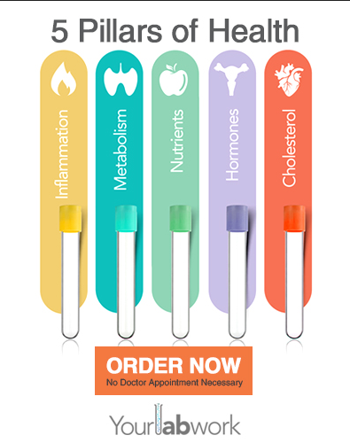 YourLabWork