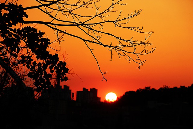 glow, daily life, sea, in the evening, sunset, sunrise, red, one day, feeling, happiness, gold, orange, hope, confidence, nature, landscape, autumn, memory, republic of korea, tree, countryside, scenery, everyone, sunshine, daily life, daily life, daily life, daily life, daily life, confidence, confidence, confidence, confidence, confidence