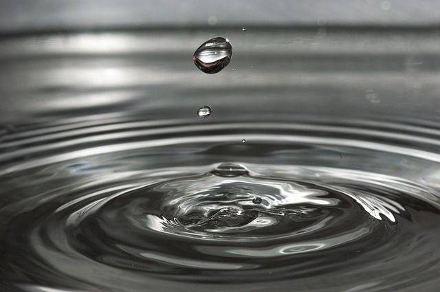 water, water drop, ripples, nature, wave, small wave, droplet, drip, drop of water, liquid