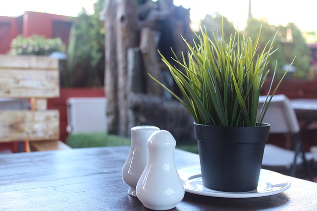 dining, dinner, restaurant, nature, table, dining out, plant, salt, pepper, table top, setting