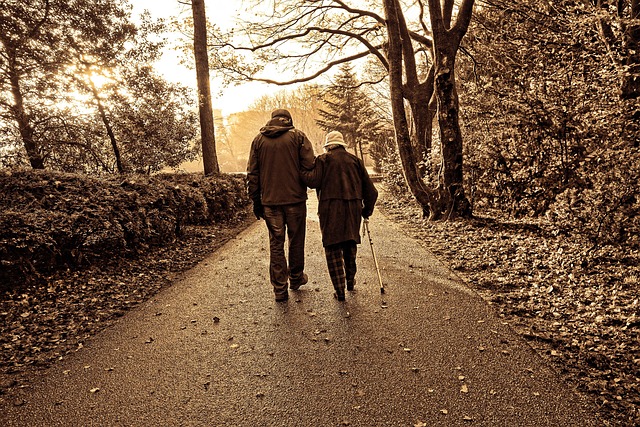 elderly couple, nature, walking, park, trees, outdoors, exercise, arm in arm, walking arm in arm, impaired vision, monochrome, sepia