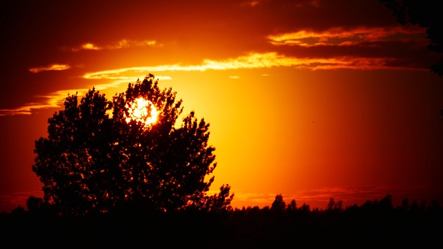 daylight saving time, autumn, sun, sunrise, sunset, sunlight, nature, forests, nice, october, trees