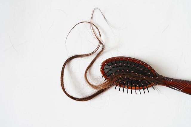 problem, hair, comb, brush, lost, alopecia, care, hairloss, bundle, cancer, loss, sickness, ill, healthcare, concepts, background, hairless, sick, health, beauty, healthy, equipment, hairbrush, medical, shampoo, alopecia, alopecia, alopecia, alopecia, hairloss, hairloss, hairloss, hairloss, hairloss, hairbrush, hairbrush