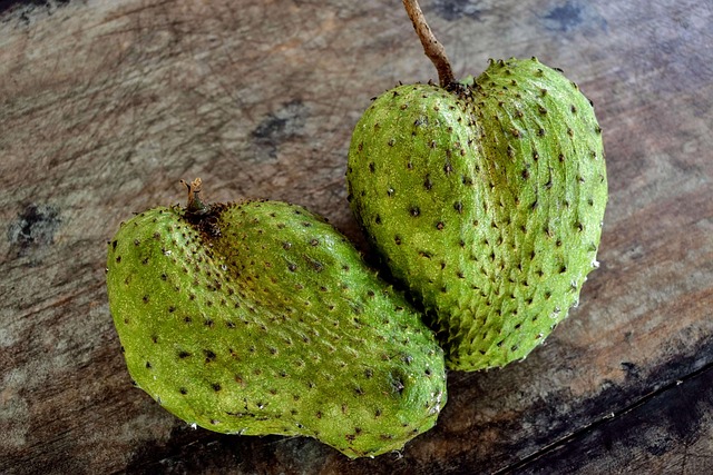soursop, fruit, ripe fruit, organic fruit, indonesia, soursop, soursop, soursop, soursop, soursop