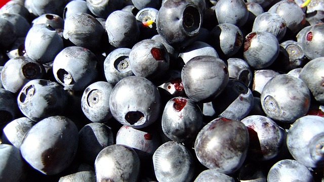 proper nutrition, blueberry, berries, fresh, healthy, food, treat, appetite, health