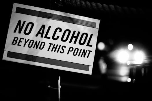 A monochrome sign with text 'No Alcohol Beyond This Point' illuminated at night.