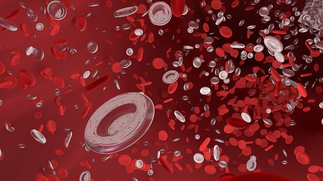 red blood cell, vessel, tube, flow, scientist, experiment, science, 3d, research, element, laboratory, microscope, medicine, biology, scientist, microscope, microscope, microscope, microscope, microscope