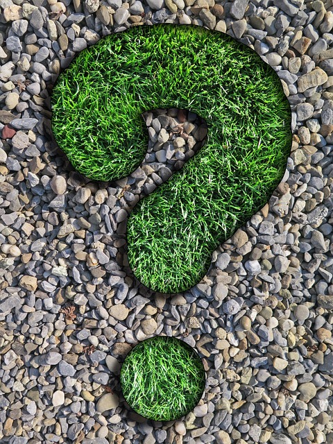 question, counselor, lawn, pebbles, question mark, nature, green, gray, beautiful wallpaper, round, background, weed, gravel, texture, iphone wallpaper