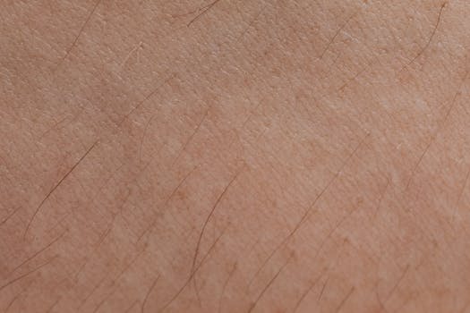 Detailed close-up of human skin texture and hair follicles.