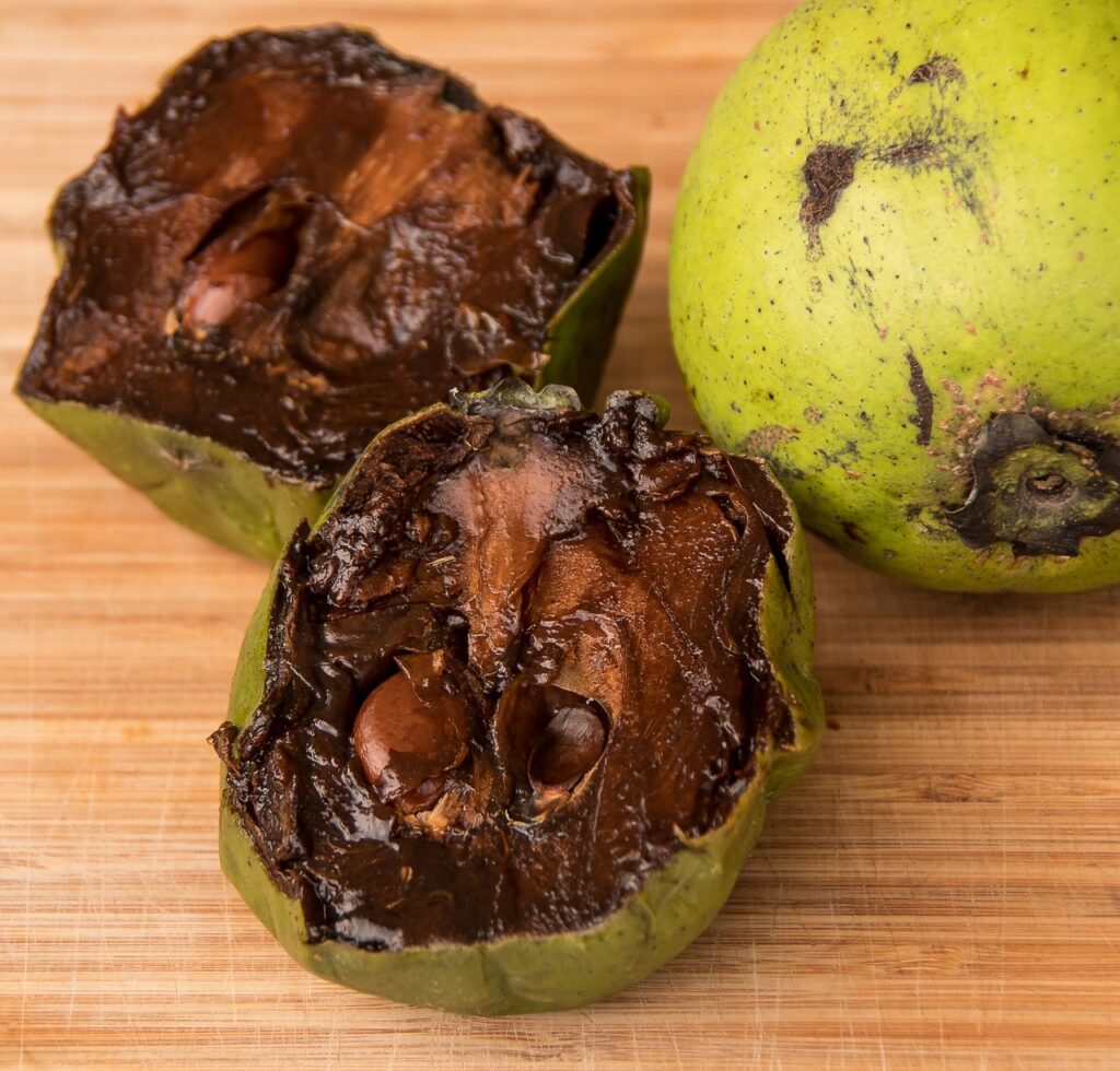 fruit, sweet, black sapote, chocolate pudding fruit, diospyros nigra, food, persimmon, ripe, australia, black sapote, black sapote, black sapote, black sapote, black sapote