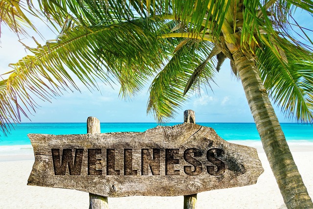 wellness, palm tree, beach, sand, island, tropical, idyllic, ocean, nature, paradise, ease, summer, vacations, travel, resort, sun, sea, exotic, lagoon, sign, wooden sign, break, recreation, relax, meditation, quiet, massage, signpost, meditate, silence, close to nature, feel good, time out, wellness hotel, spa, physical therapy, soul