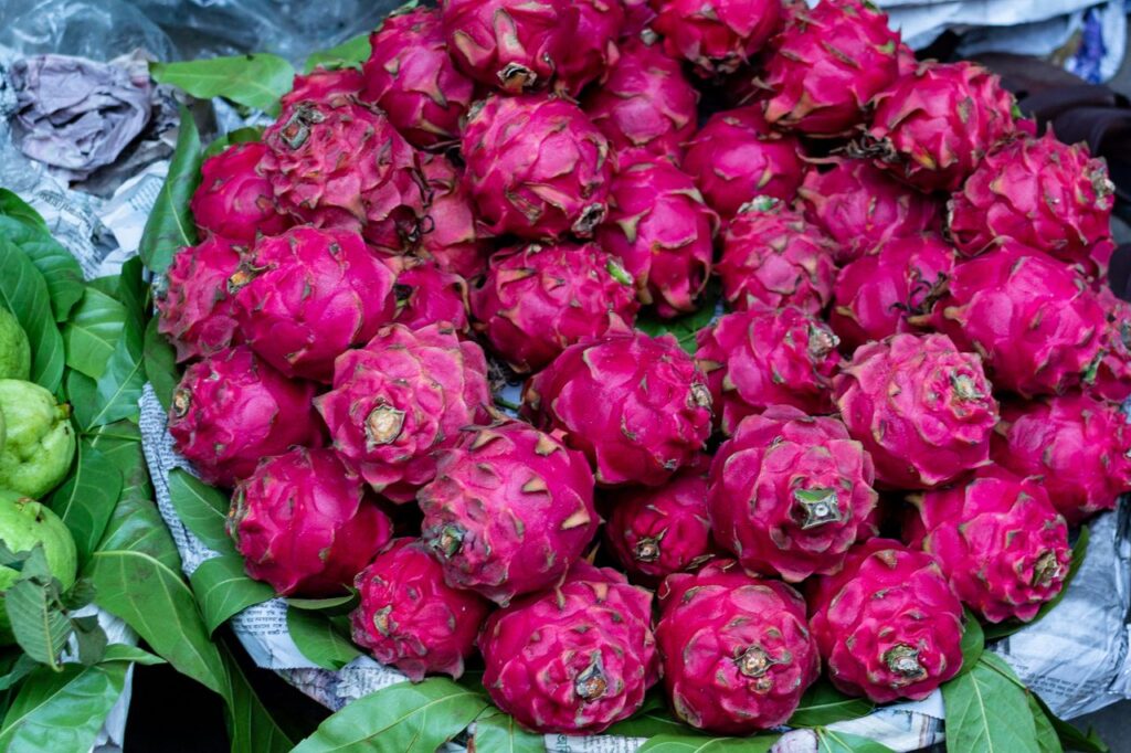 Vibrant display of fresh dragon fruits at a market stall in Dhaka, Bangladesh.