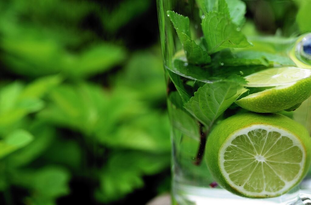mint, peppermint, nature, detox, detox water, water, lime, health, herbal plant, drink, medicinal plant, medicinal herbs, aroma, fresh, herbs, healing, wellness, green, plant, natural, bio, medicine, garden