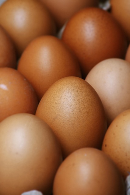 eggs, ingredients, baking, food, egg carton, raw, cooking, healthy, eggshells, protein, whisk, cookbook, recipe, food prep, baking ingredients