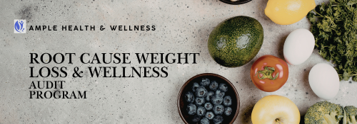 Nutrition Audit Program Banner for Ample